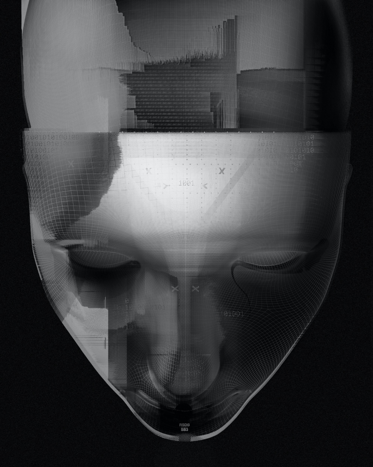 TOBLIX — synthetic face study
